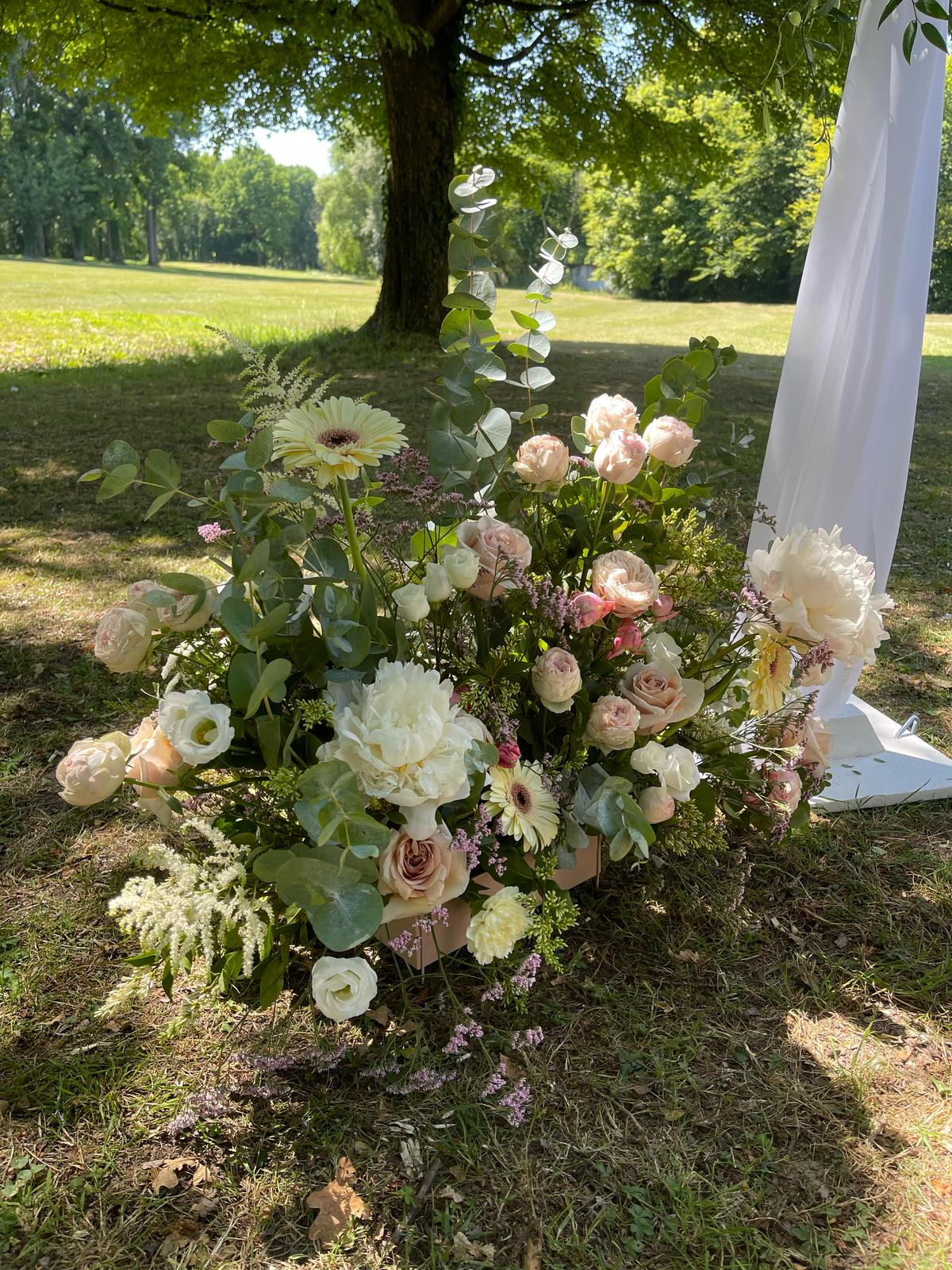 WhatsApp Image 2025 06 23 at 10.04.35 (1)